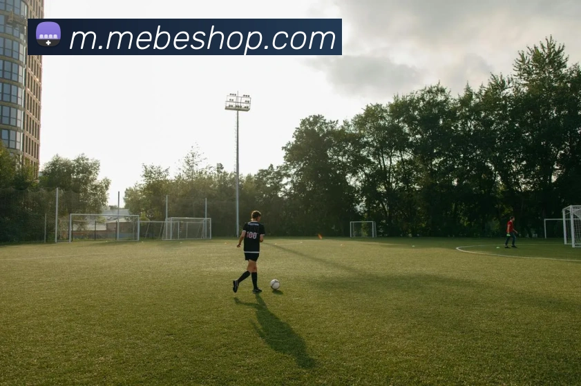 华体体育平台生态图